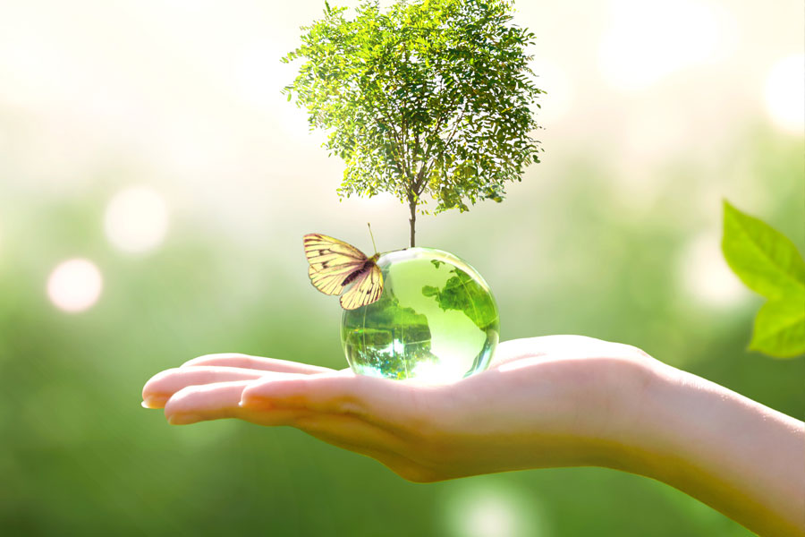 Bild mit grüner Weltkugel in Handfläche mit Schmetterling und Baum auf grünem Hintergrund