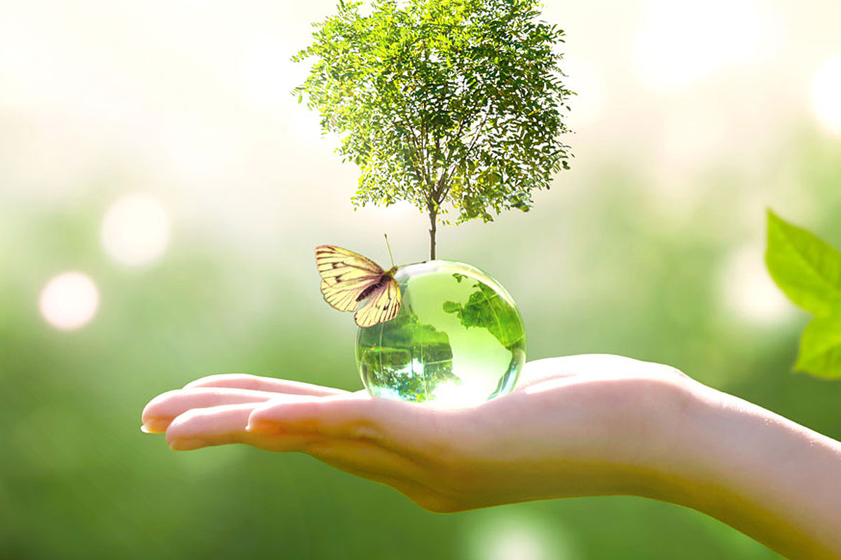 Bild mit grüner Weltkugel in Handfläche mit Schmetterling und Baum auf grünem Hintergrund